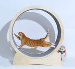 Cat Fitness Fun Roller - Safe & Secure Health & Fitness