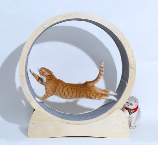 Cat Fitness Fun Roller - Safe & Secure Health & Fitness